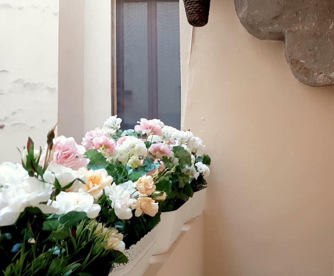 Velvet Loft - Santo Spirito Apartment Флоренция Экстерьер фото